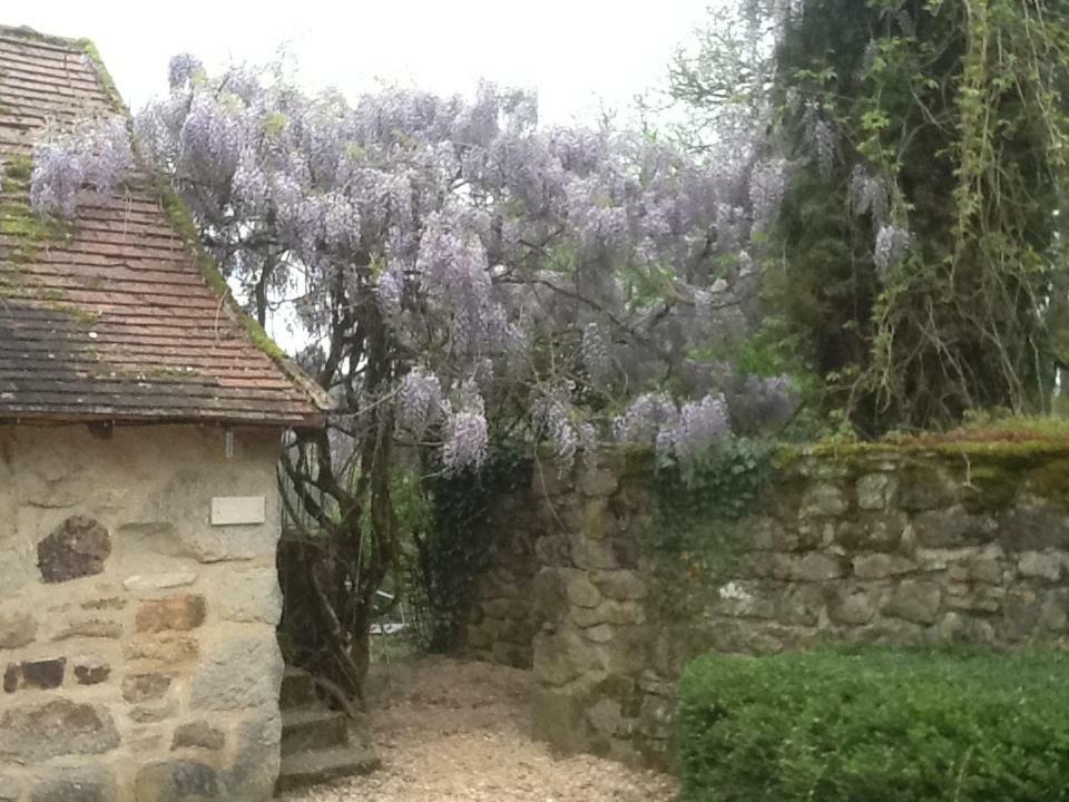 Domaine De Sautou Castanet (Tarn) Exterior photo