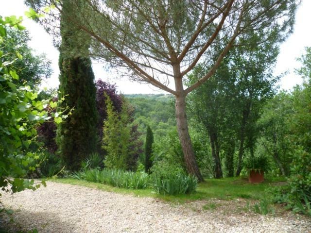 Domaine De Sautou Castanet (Tarn) Exterior photo